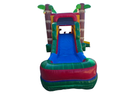 20251015 154110 1760564791 Palm Tree Combo Wet n Dry