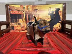 Mechanical Bull